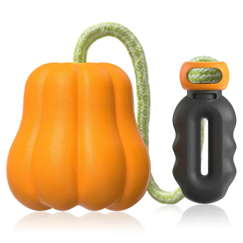 Orange pumpkin-shaped plastic dog chew toy with a blue rope attached for throwing and tugging.
