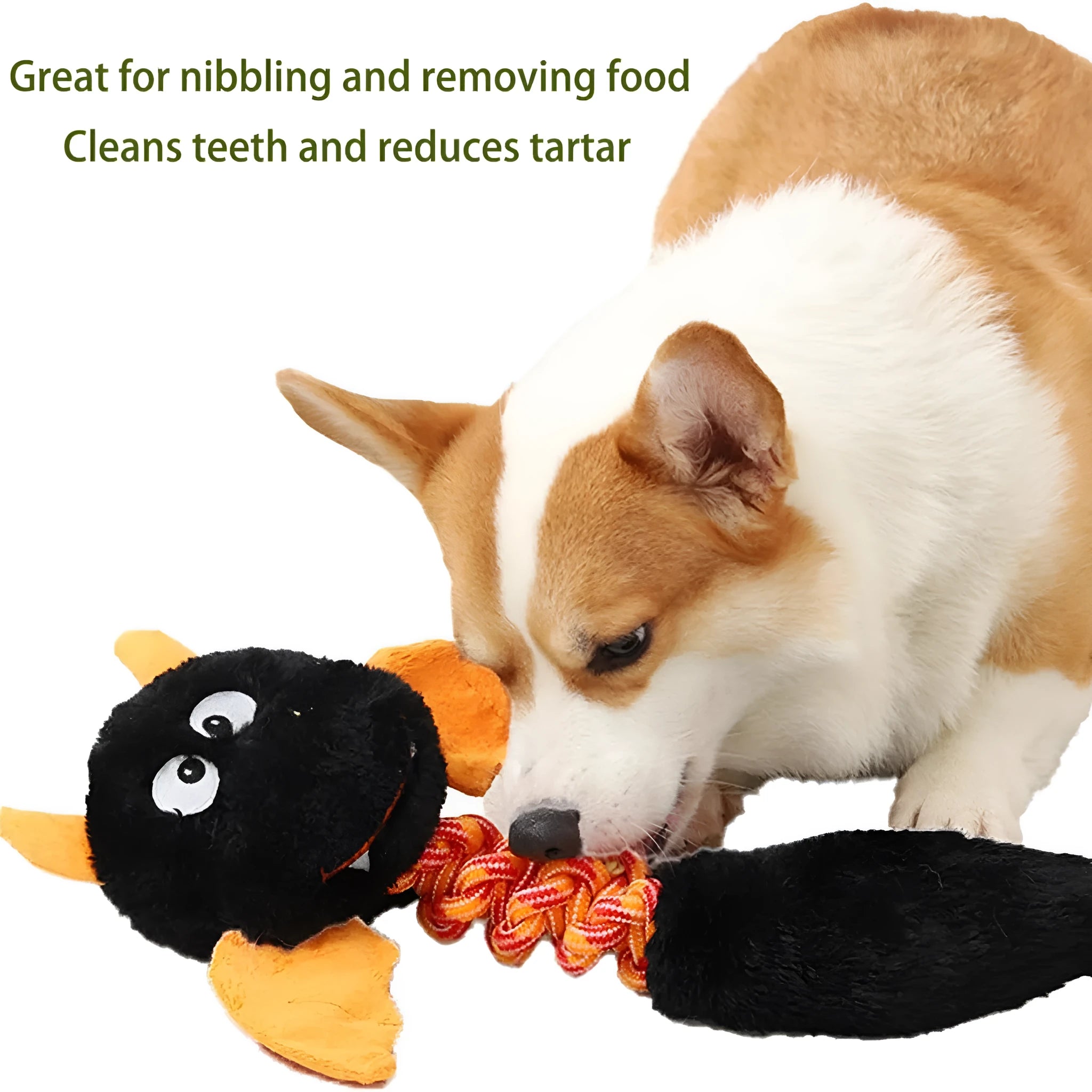 Large black, green, or red plush dog toy with cartoon design, measuring 44cm, featuring a squeaker and rope knot.