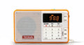 Tecsun Q3 broadcast recorder digital audio player in multiple colour options