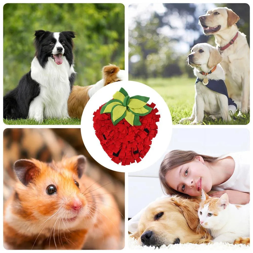 Red and green strawberry shaped pet slow feeder mat for dogs and cats on floor