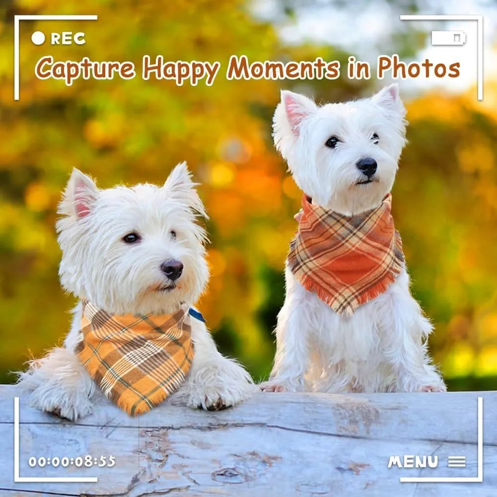 Classic plaid dog bandana with tasselled edges in autumn colours tied around dog's neck