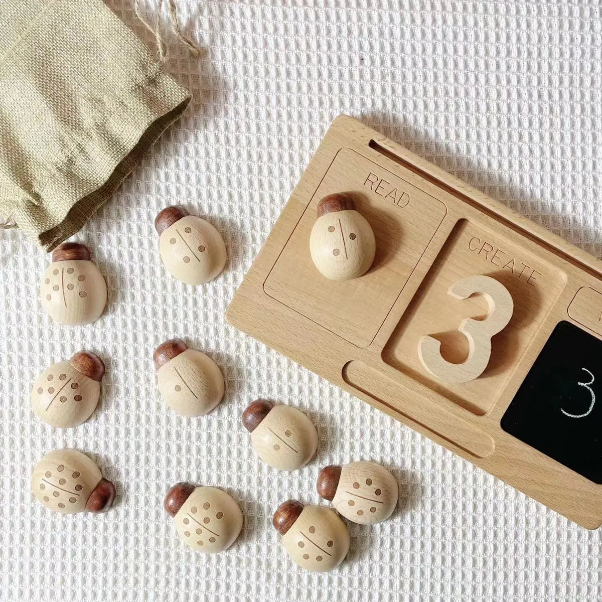 Beech ladybird educational toy with digital teaching aid on a table, packed in a net pocket