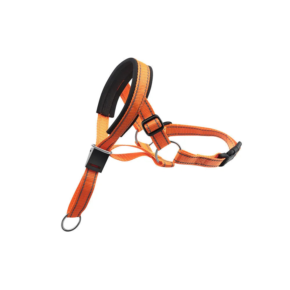 Nylon dog mouth cover and rope leash set in orange, blue, and red, sizes S to XL