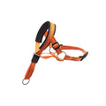 Nylon dog mouth cover and rope leash set in orange, blue, and red, sizes S to XL