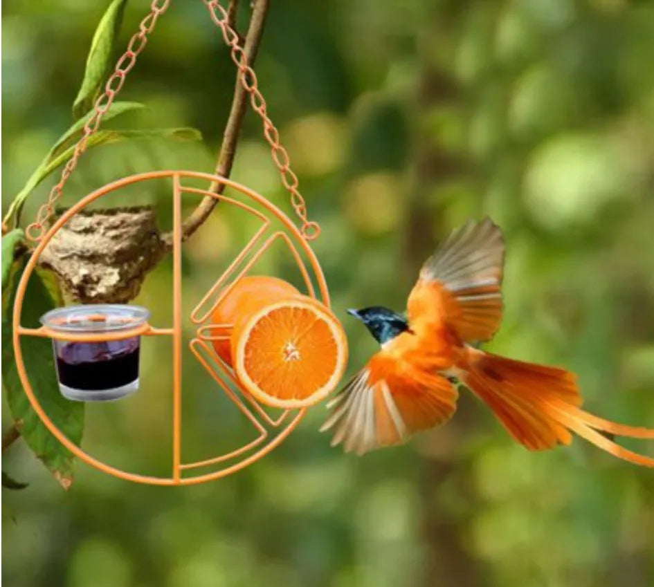 Hanging metal bird feeder in orange colour, iron construction, 20x7x20 cm, with open top hook for outdoor hummingbird feeding