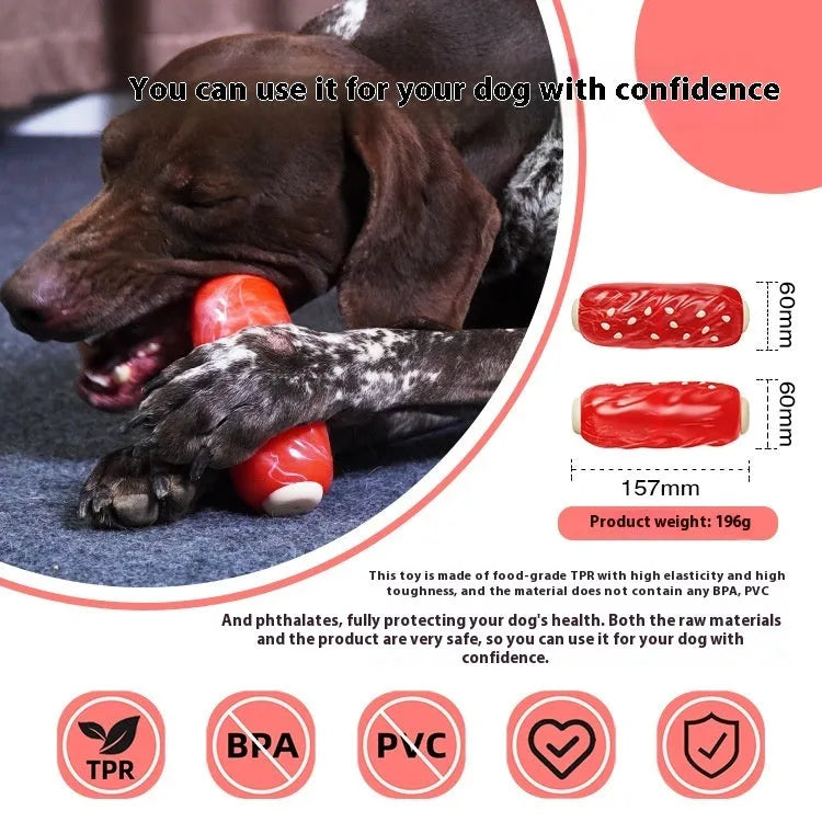 Primary colour plastic bone-shaped dog toy with a hollow treat-holding molar rod section.