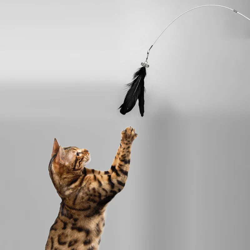 Telescopic cat fishing rod toy with goose feather attachments and a removable bell, shown extended and collapsed.