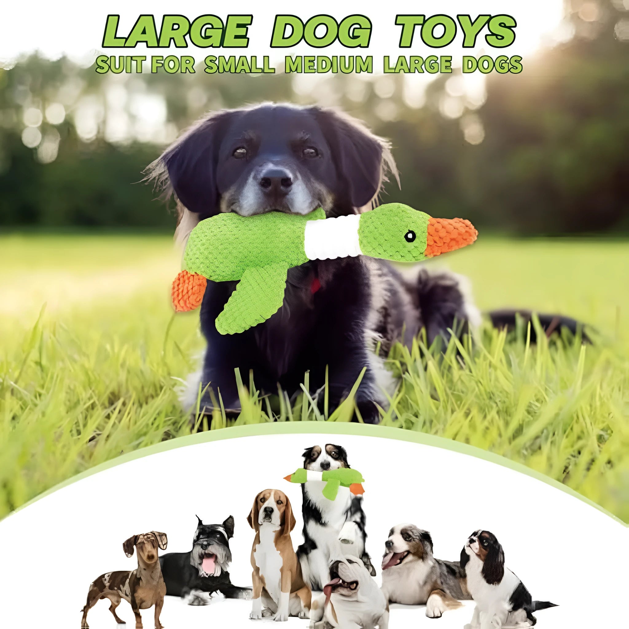 Blue duck plush dog toy with squeakers for large breed dogs on white background