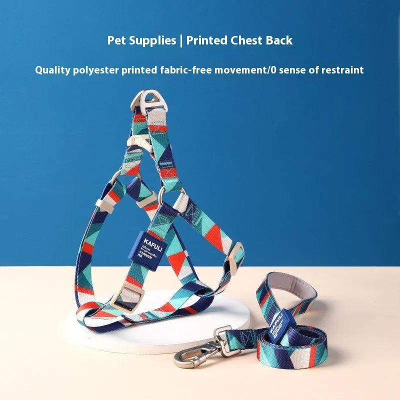 Blue adjustable dog harness and lead combo set shown on a model dog.