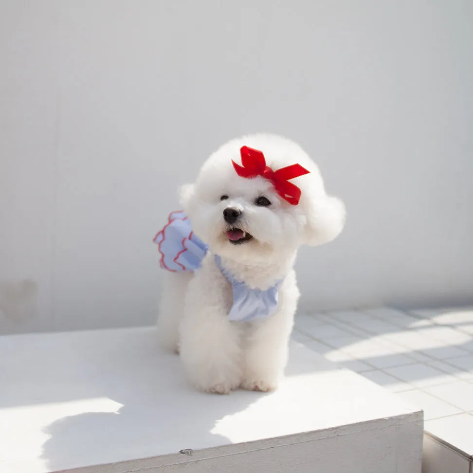 Thin polyester cartoon suspender skirt pet princess dress for small dogs summer wear