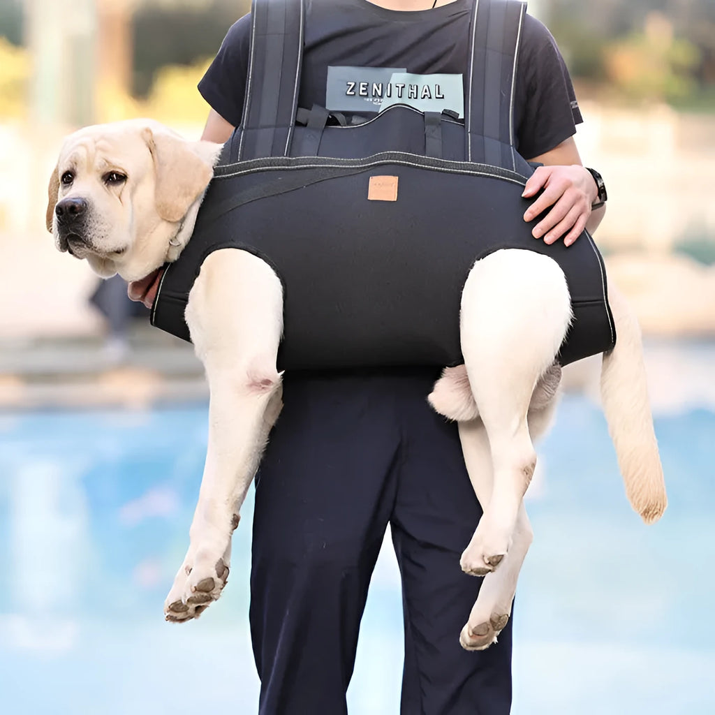 Black Oxford cloth dog backpack for medium to large pets in three size options