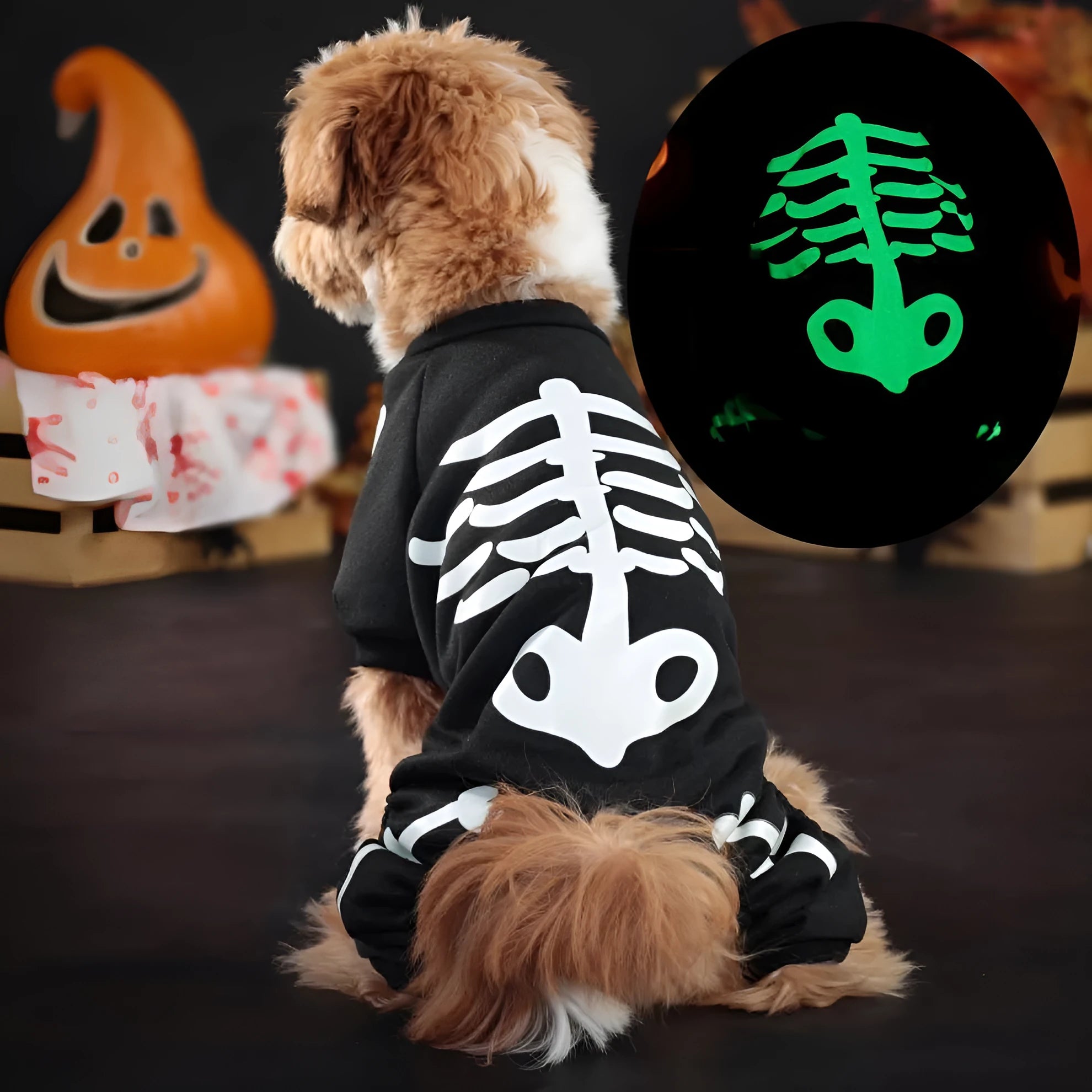 Halloween pet costume with luminous skull bones design on a four-legged polyester outfit for dogs or cats.