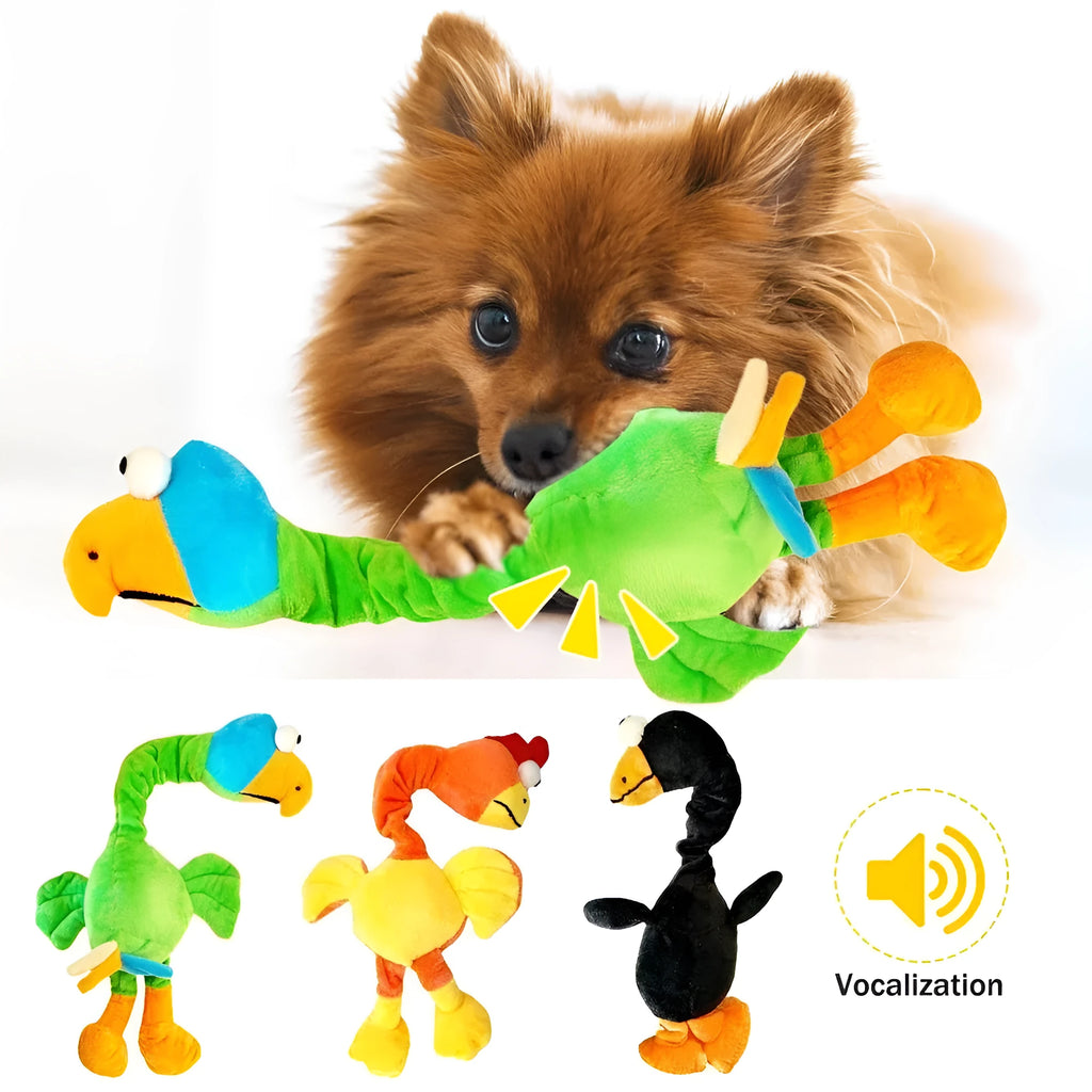 Squeaky chicken dog toy in black, green, or orange colours with bite-resistant latex construction