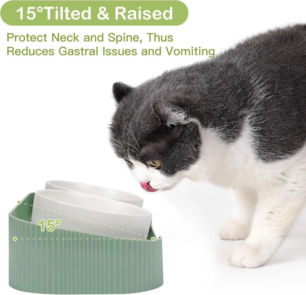 Green ceramic raised cat bowl set with two tilted bowls on non-slip base