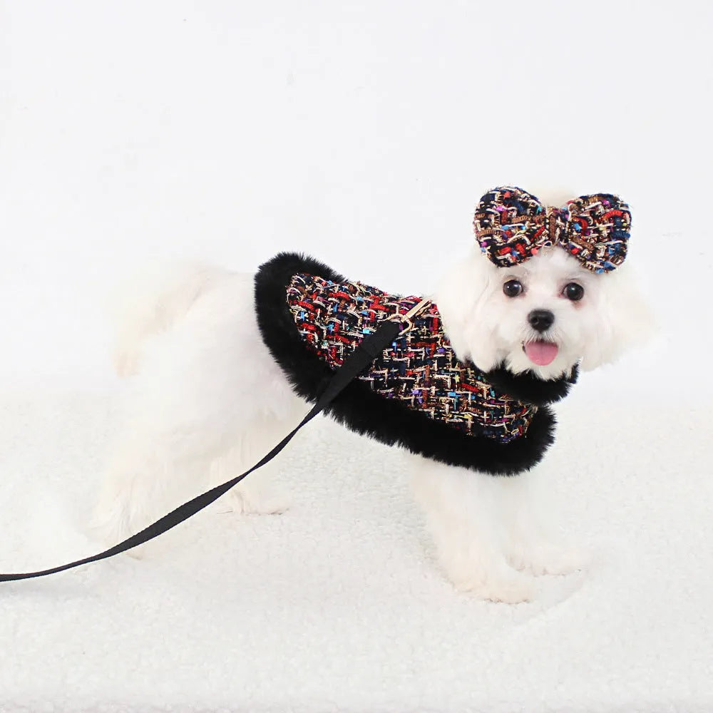A dog wearing a classic cloth cloak attached to a chest strap with a hand holding rope