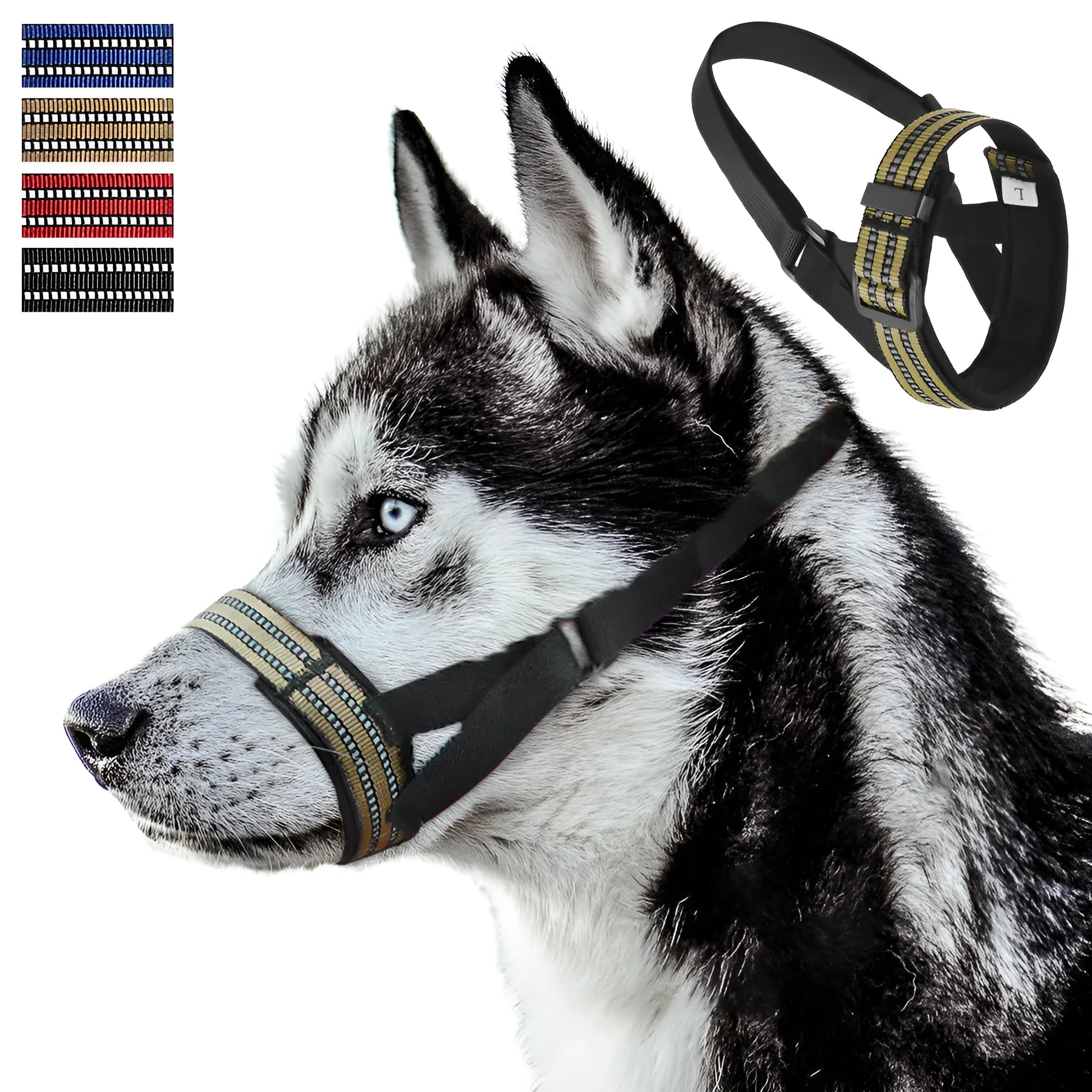 Adjustable reflective dog muzzle shown on a medium-sized dog, in blue colour.