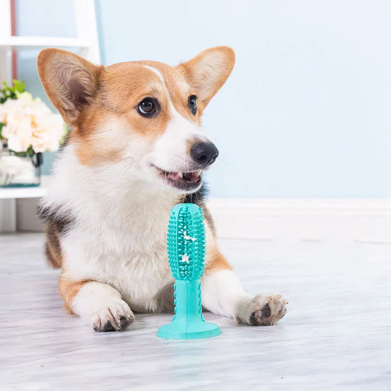 Rubber dog molar chew toy with suction cup, 6.5 x 14.5 cm, blue red green light green