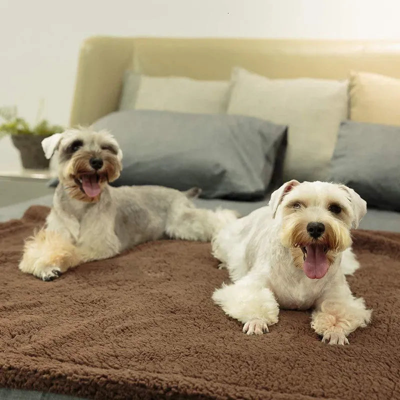 Plush pet mat in cloth, beige gray or brown, sizes XS 40x60cm to XL 105x165cm for dogs and cats
