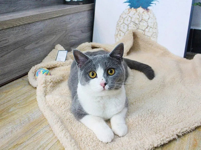 Plush pet mat in cloth, beige gray or brown, sizes XS 40x60cm to XL 105x165cm for dogs and cats