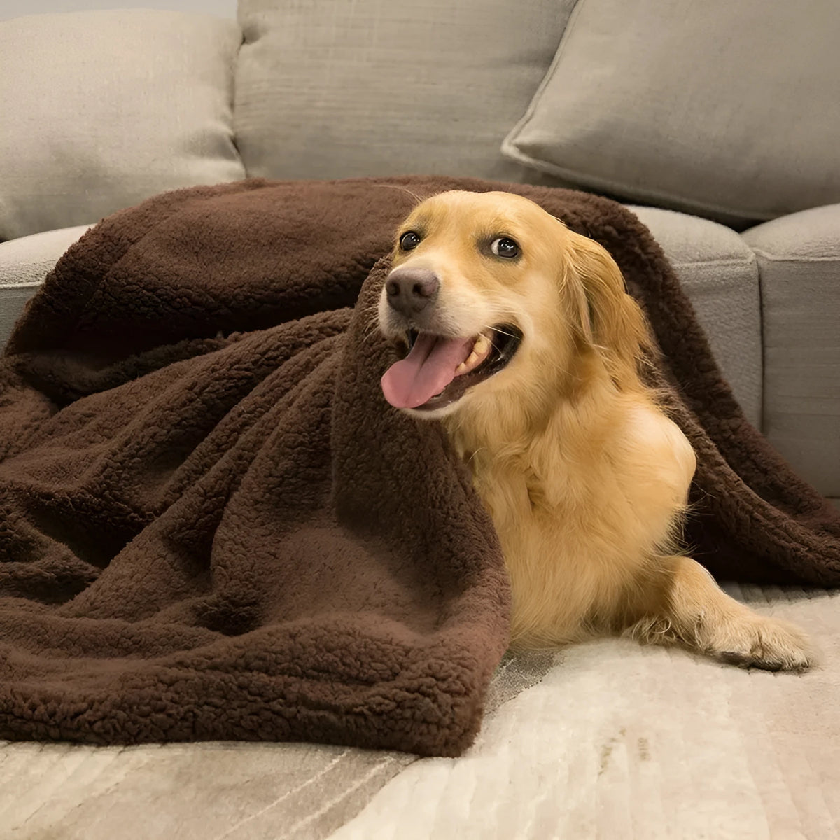 Plush pet mat in cloth, beige gray or brown, sizes XS 40x60cm to XL 105x165cm for dogs and cats