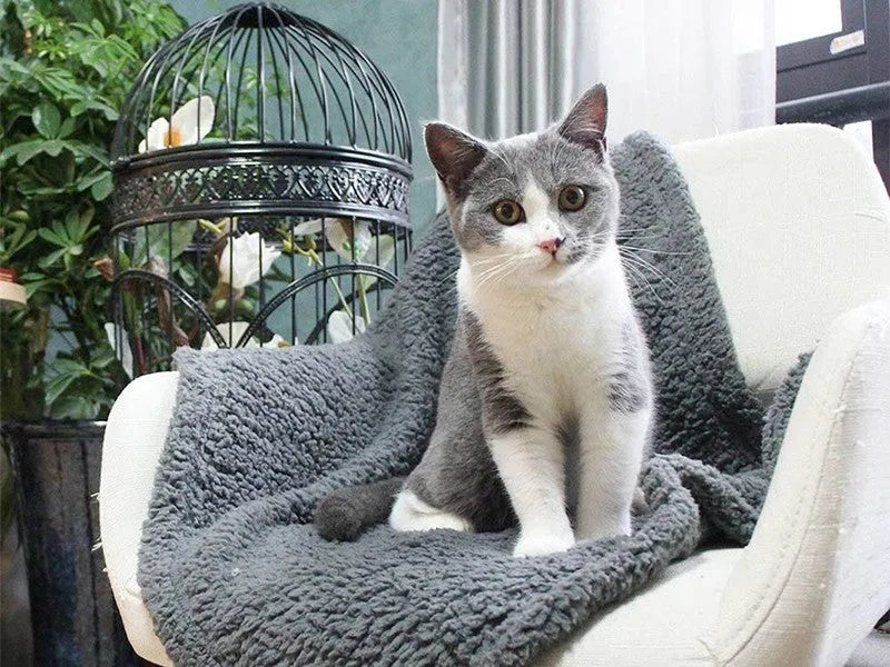 Plush pet mat in cloth, beige gray or brown, sizes XS 40x60cm to XL 105x165cm for dogs and cats