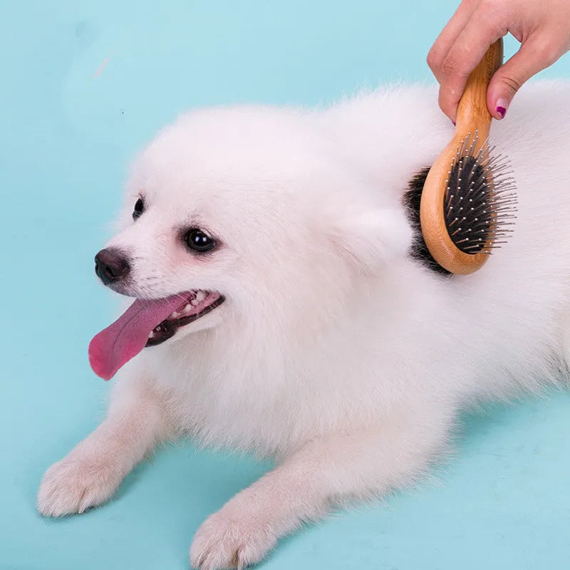 Double-sided pet grooming brush with stainless steel needles in sizes S, M, L for dogs and cats