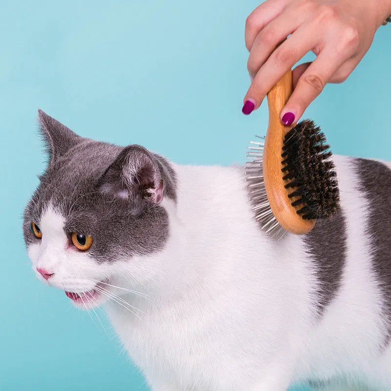 Double-sided pet grooming brush with stainless steel needles in sizes S, M, L for dogs and cats
