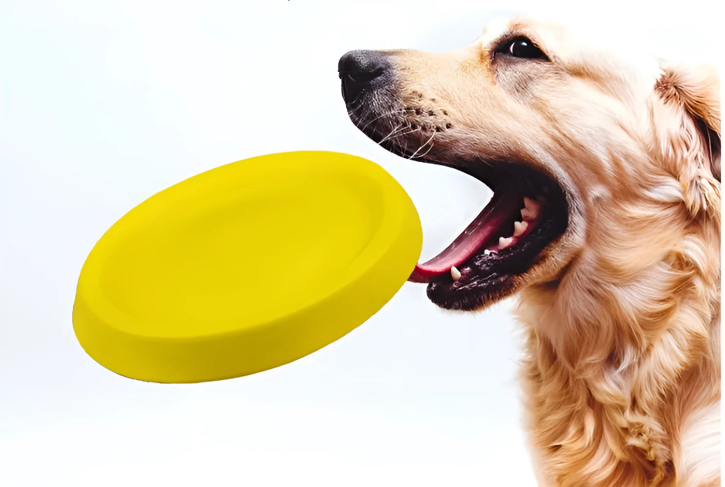 Bright yellow EVA dog throwing toy for fetch and training games.