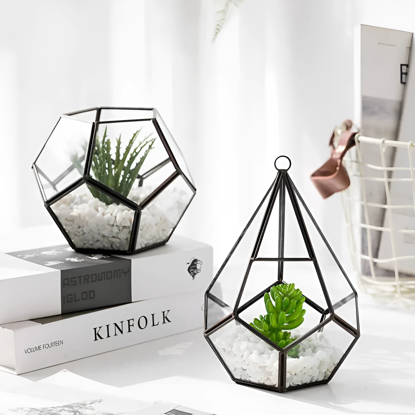 Metal and glass succulent bonsai home decoration in two style options for shelf display.