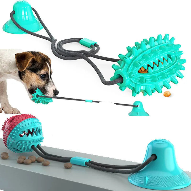 TPR suction cup dog toy cactus shape in lake blue with molar stick and leaking ball