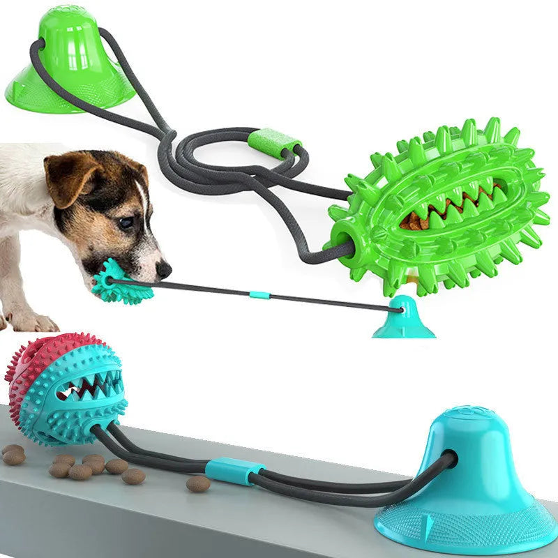 TPR suction cup dog toy cactus shape in lake blue with molar stick and leaking ball