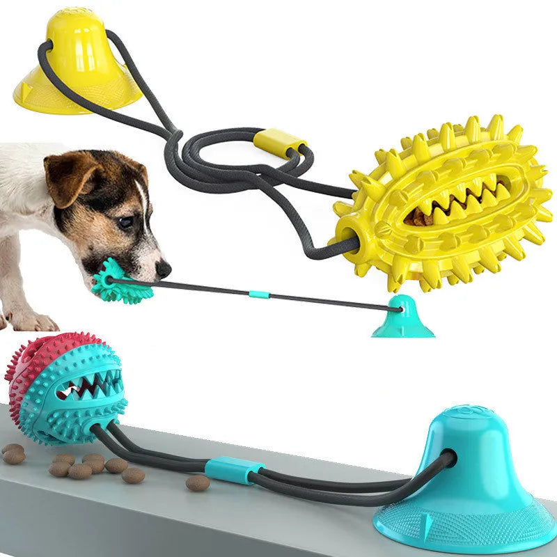 TPR suction cup dog toy cactus shape in lake blue with molar stick and leaking ball