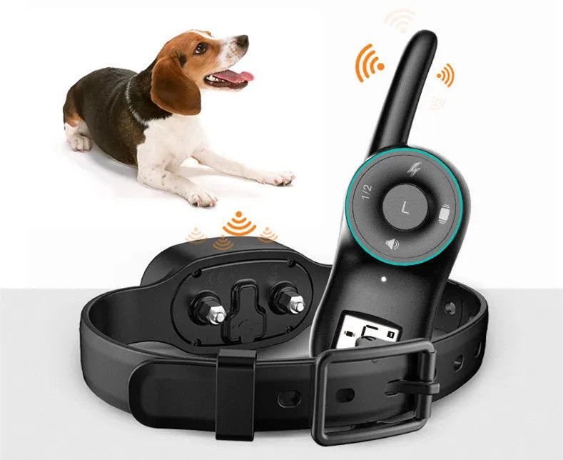 Waterproof rechargeable dog training collar with remote control in black or orange colour options