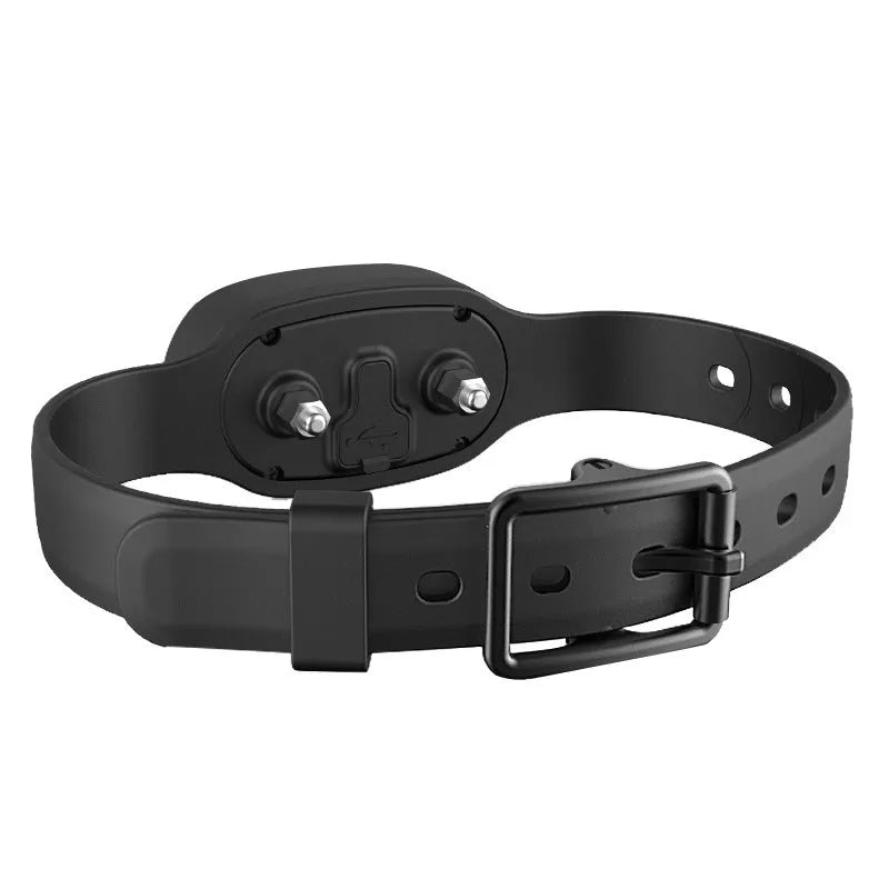 Waterproof rechargeable dog training collar with remote control in black or orange colour options