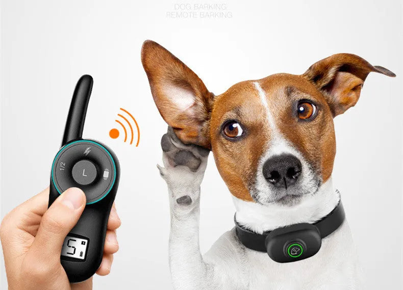 Waterproof rechargeable dog training collar with remote control in black or orange colour options