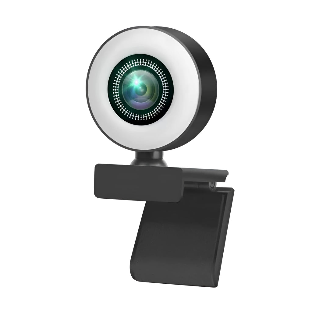 Black 1080p HD USB webcam with built-in fill light for video conferences.