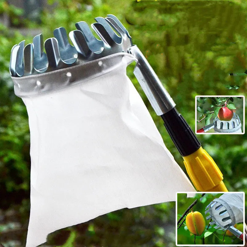 Steel frame fruit picker garden tool with a cloth catcher bag for harvesting citrus and pears.