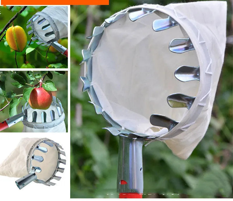 Steel frame fruit picker garden tool with a cloth catcher bag for harvesting citrus and pears.