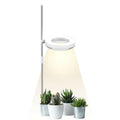 A compact LED plant growth light with a double-headed design, resting beside a small potted plant on a desk.