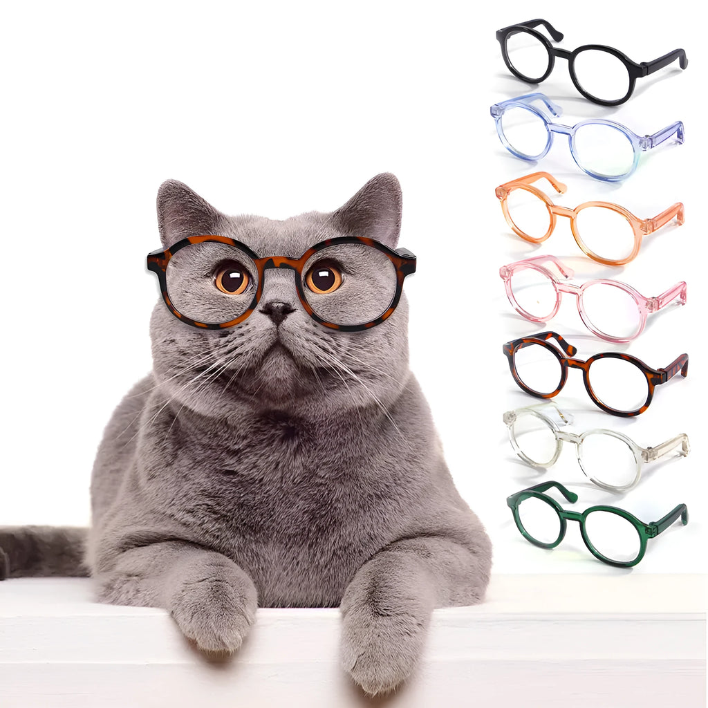 Plastic cat glasses for pets in green, black, pink, brown, transparent, leopard print and sky blue