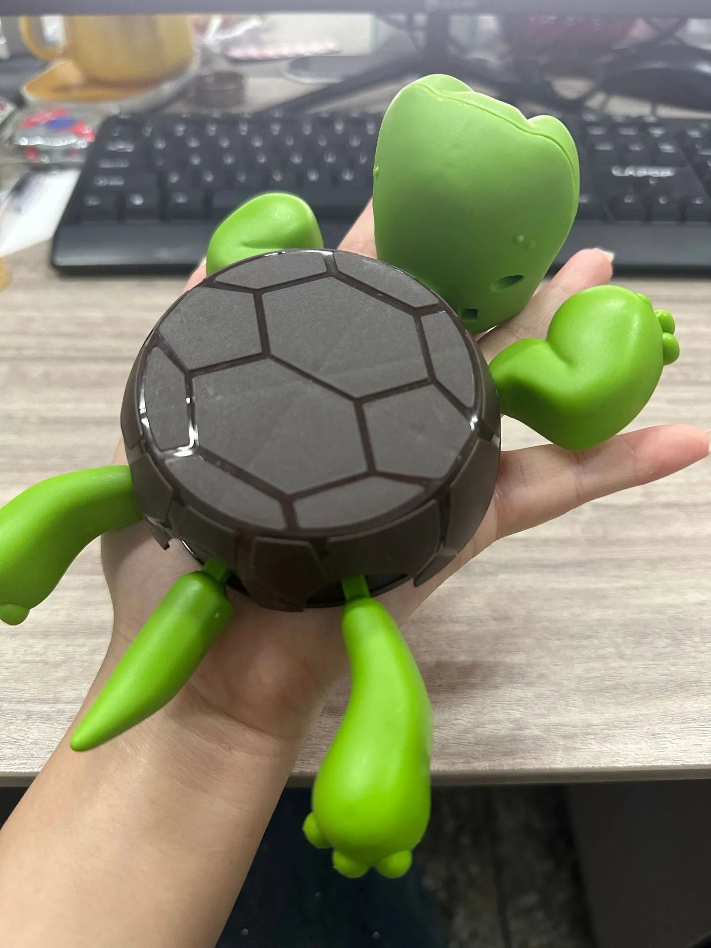 Turtle-shaped ABS plastic coaster in light green colour on table