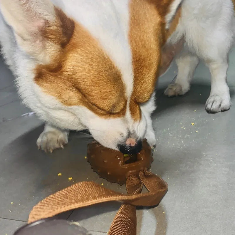Brown coffee bean shaped dog chew toy made from TPR plastic with a rope knot texture.