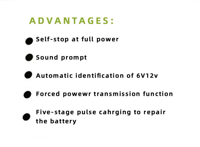 BT 168 model car battery charger with American plug for 12V and 24V lead acid batteries