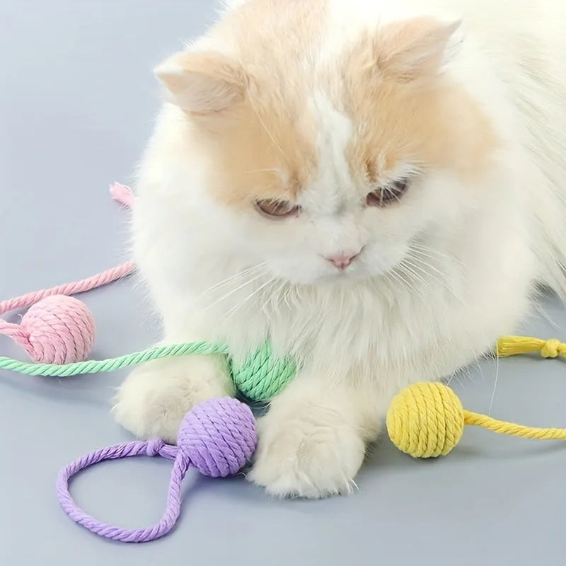 Cat toy ball with attached rope in green, pink, purple or yellow colours showing 3cm and 6cm size options