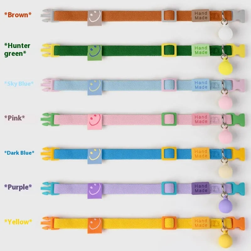 Small dog wearing a high elasticity polyester pet collar in a choice of seven solid colours.