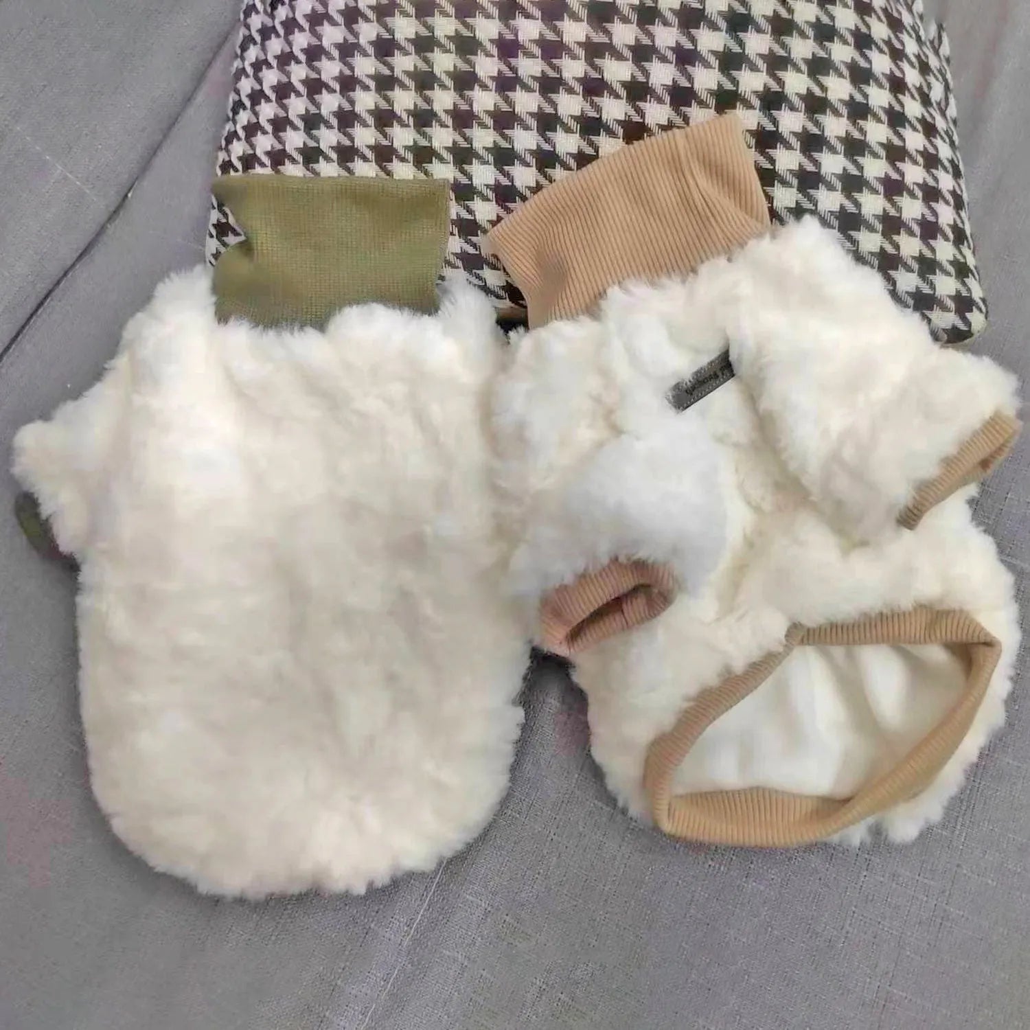 Creamy green turtleneck plush dog coat on small pet showing high collar design and cotton padding
