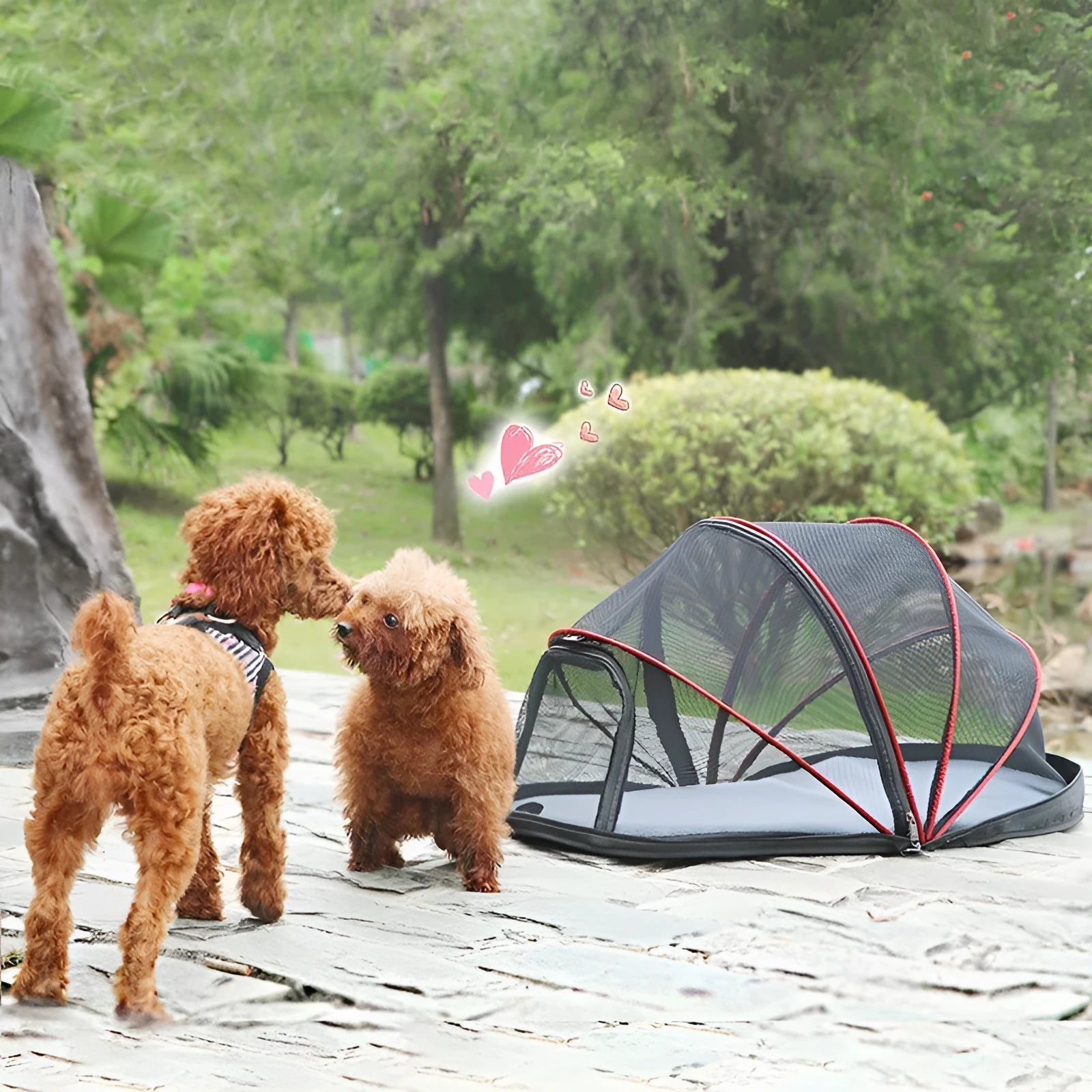 Folding cat travel tent with half mesh panels in blue or black colour options