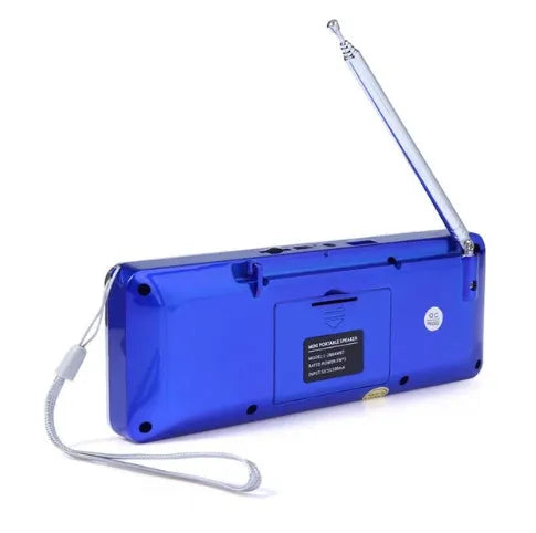 Hot L-288AMBT portable Bluetooth speaker with LCD display showing radio frequency or playback mode