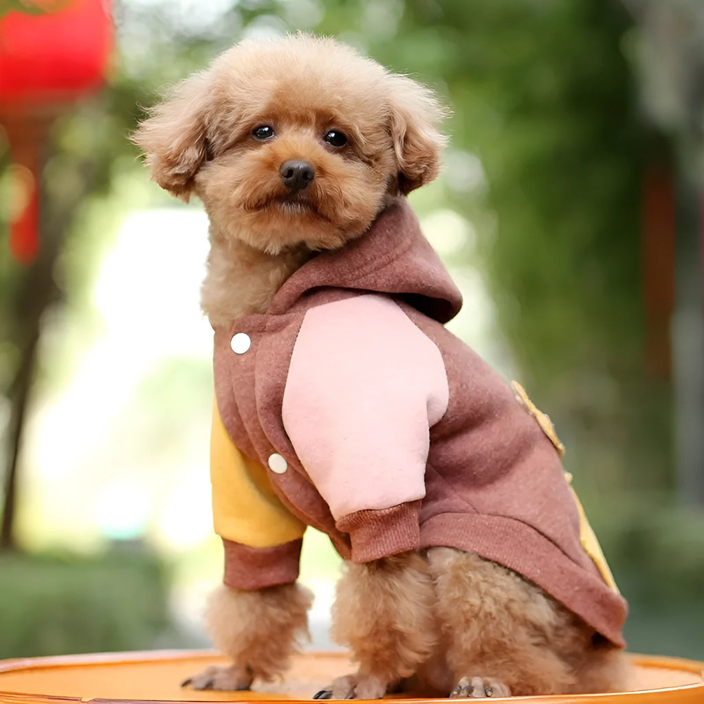 Brown cotton pet sweatshirt on a dog, showing casual fit and soft material.