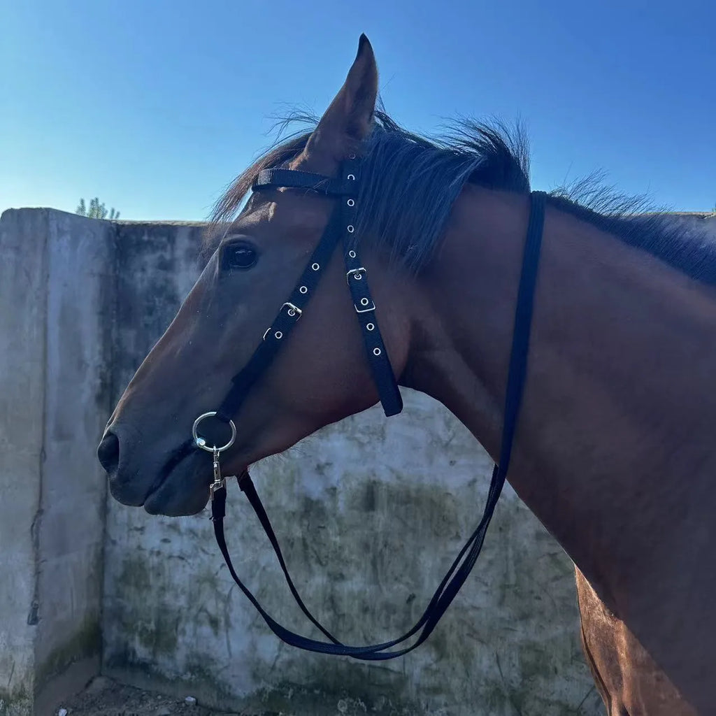Black fibre horse halter rope for ponies with shoulder height below 1.3m